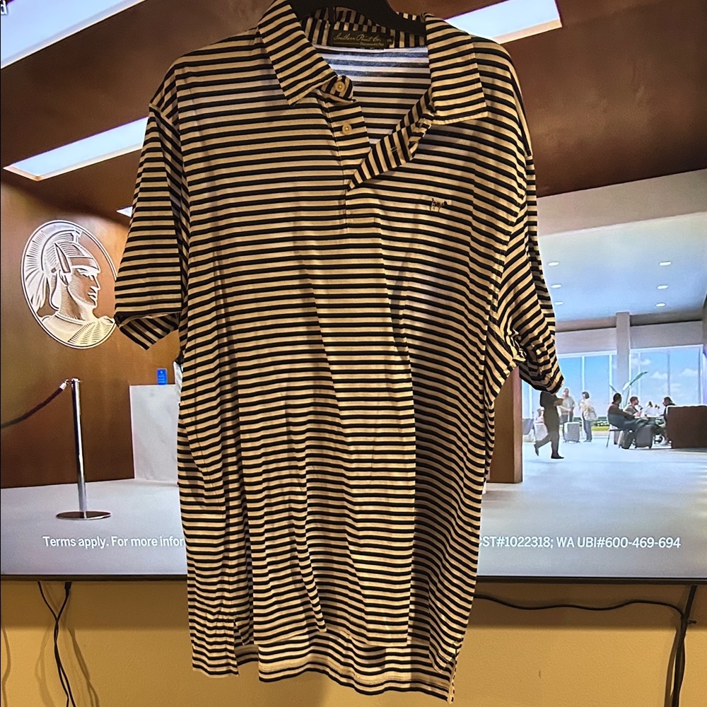 Men's Striped Polo Shirt - Blue and White